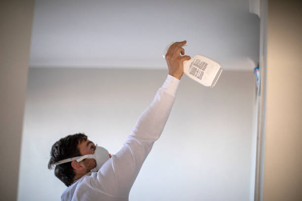 Crawl Space Mold Removal in Espaola, NM