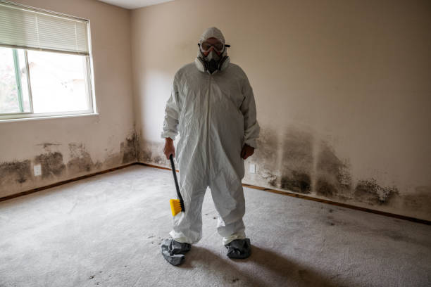 Best Commercial Mold Removal  in Espaola, NM